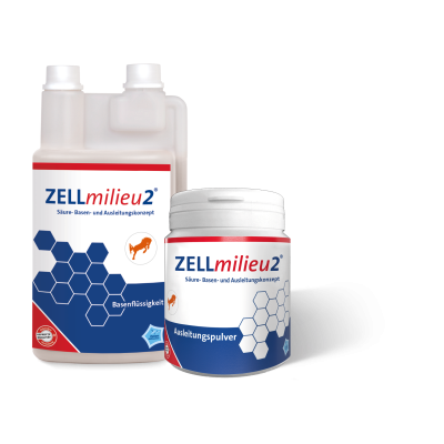 ZELLmilieu2 Horse