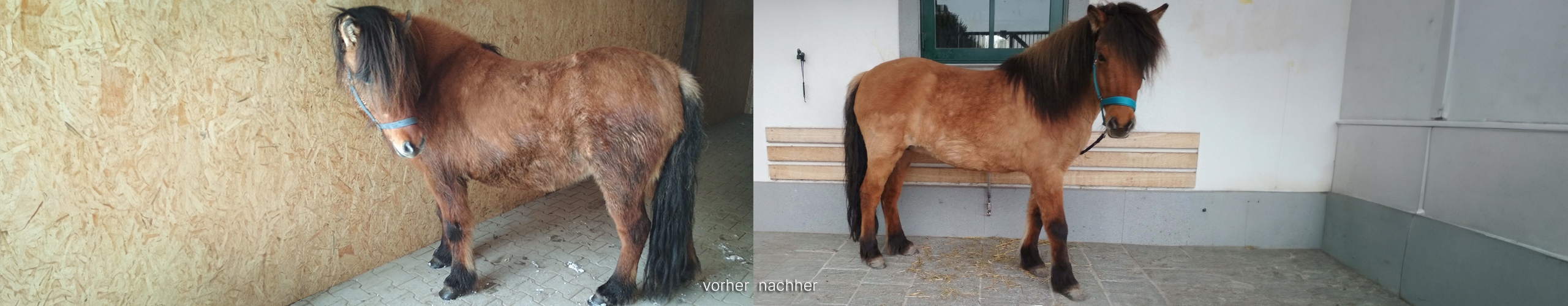 Stella vom anderen Stern