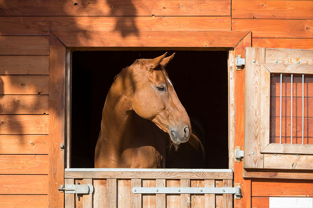 boxenrehe_1_