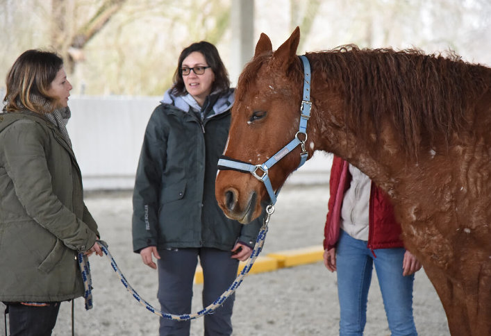 Susan Bär, horse osteopath and veterinary practitioner