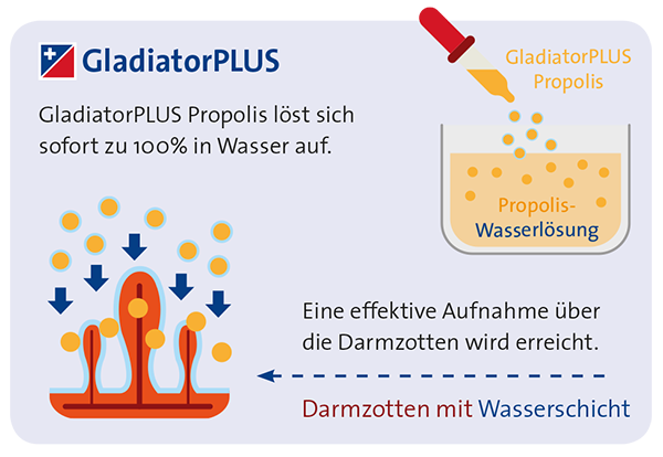 solubilisierung-gladiatorplus