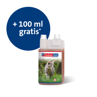 GladiatorPLUS Katze