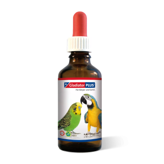 GladiatorPLUS Vogel