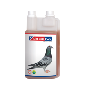 GladiatorPLUS Taube
