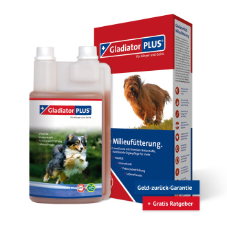 GladiatorPLUS Hund