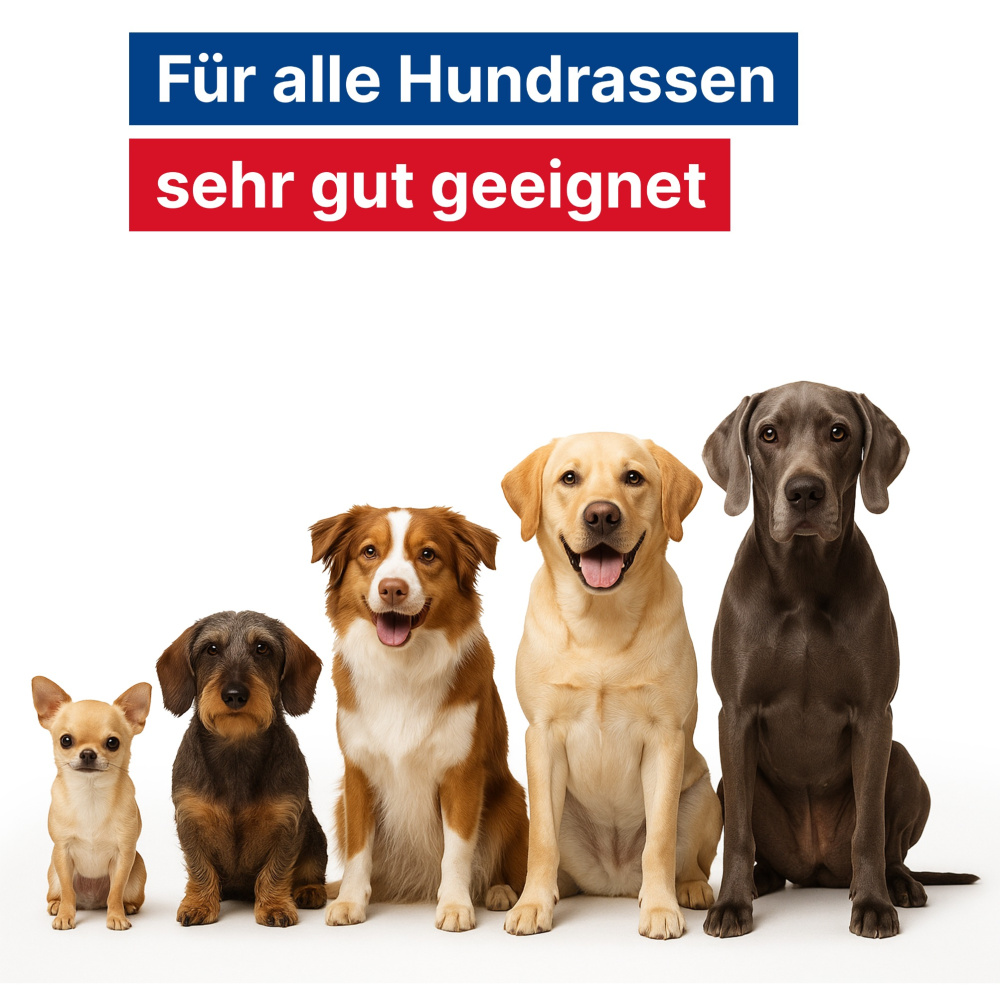 GladiatorPLUS Hund Die jetzt bestellen
