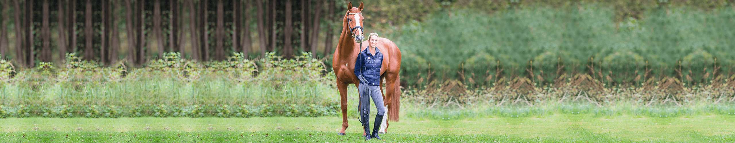 Mein Pferd: Spiegel meiner Seele