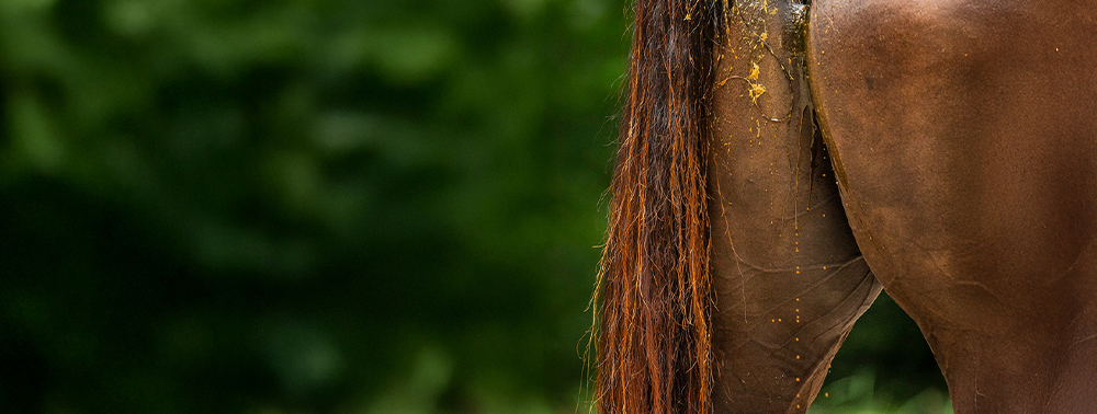 Was hilft wirklich gegen das leidige Problem?