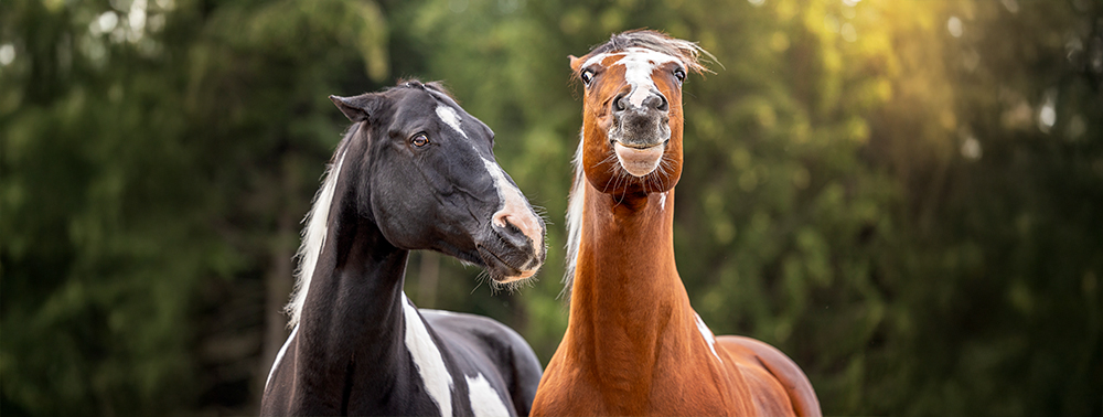 Unterschätzte Gefahr für die Gesundheit