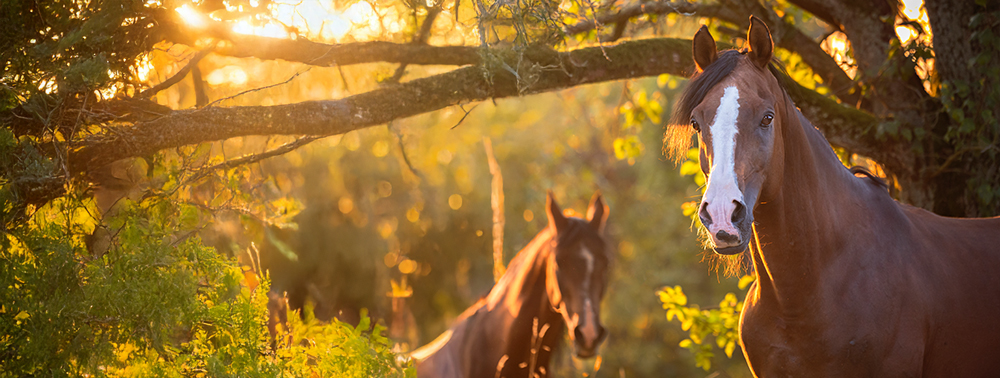 Eine Frage der richtigen Umstellung