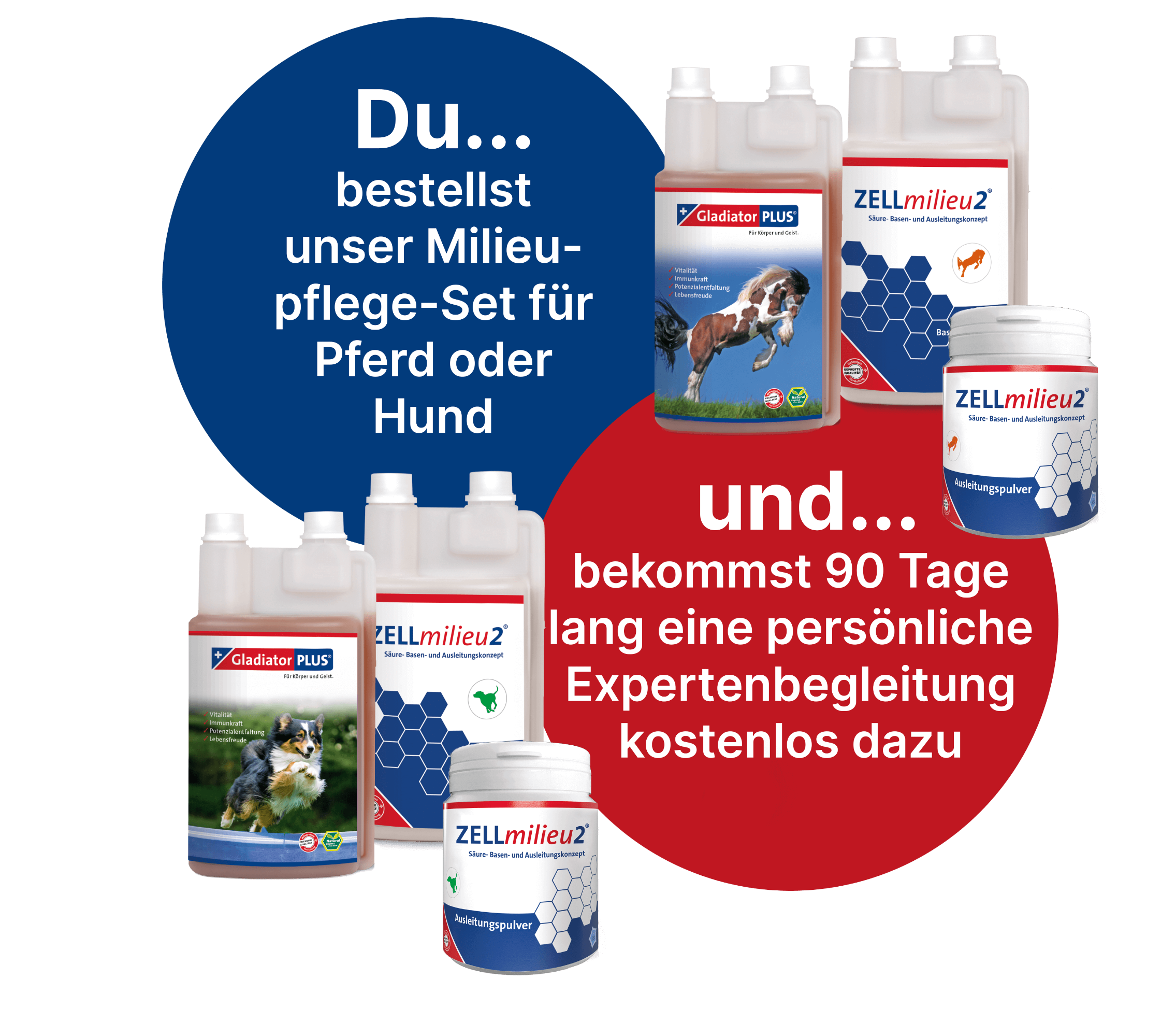 Bundle_Angebot_2_1_