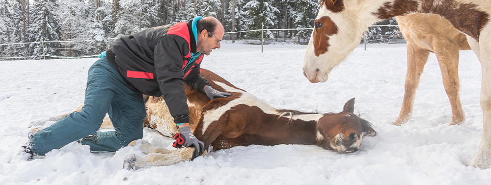 Ursachen & Anzeichen kennen, im Ernstfall richtig handeln