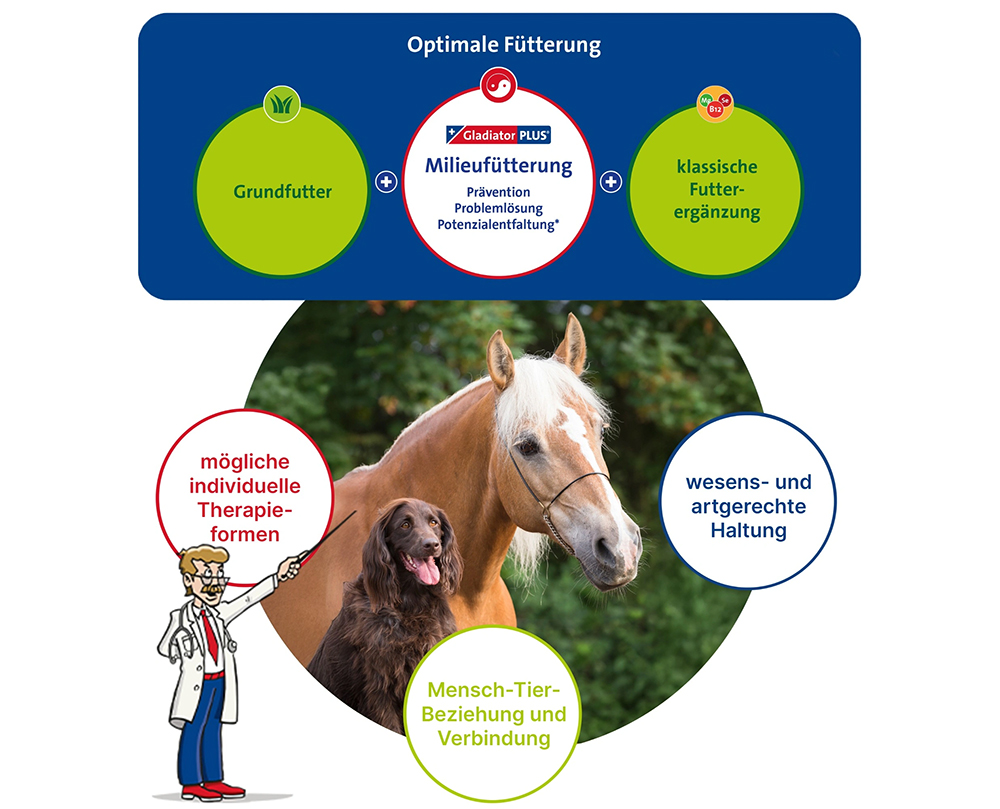 Bausteine_Tiergesundheit