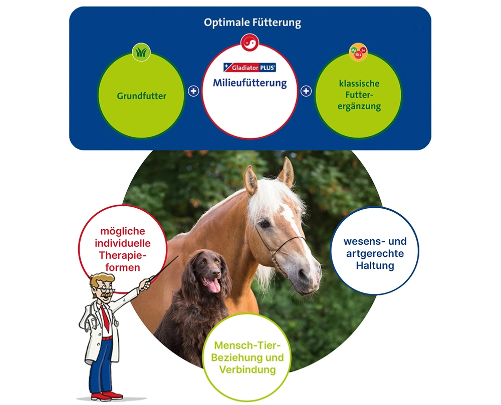 Bausteine_Tiergesundheit_1