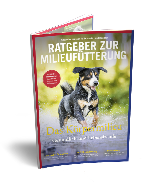 04-Hund-Cover-transparent-2