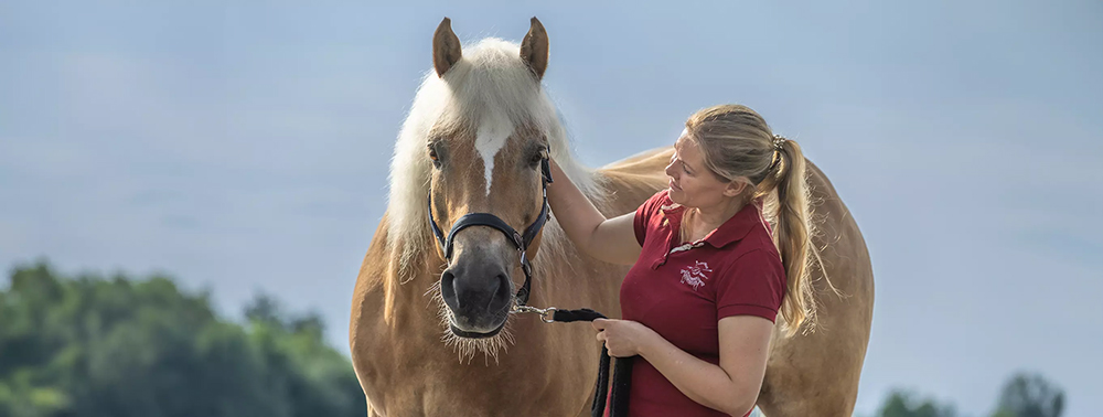 Symptome, Ursachen und Therapie