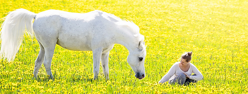 Ursachen und Fütterung