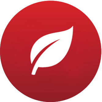 Premium-Inhaltsstoffe, durchdacht kombiniert Premium-Inhaltsstoffe_durchdacht_kombiniert