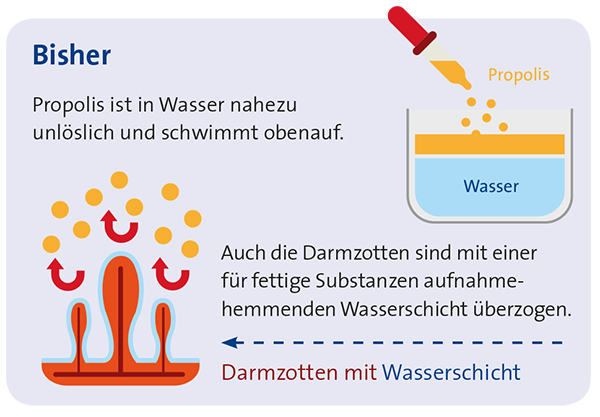 solubilisierung-bisher_1