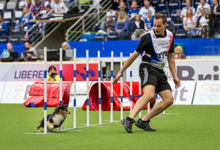 Tobias Wüst, Agility Weltmeister