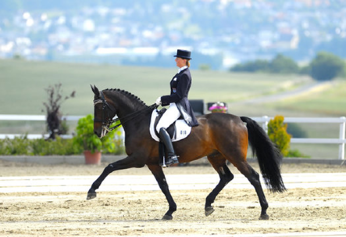 Nicole Hintenlang, Dressurreiterin