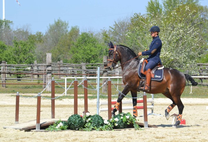 Mihai Maldea, Deutscher Meister Working Equitation