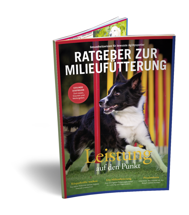 04-Hund-Agility-Cover-transparent