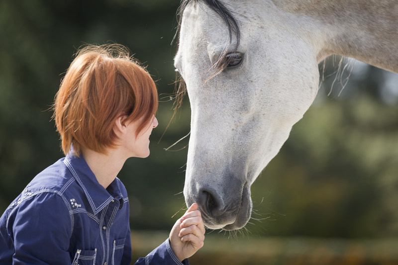 Pferd Entsäuern Homöopathie